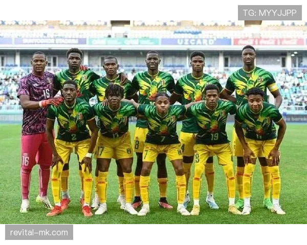 马里国家队剑指新高,2023非洲杯力争历史最佳战绩 马里国家队剑指新高,2023非洲杯力争历史最佳战绩