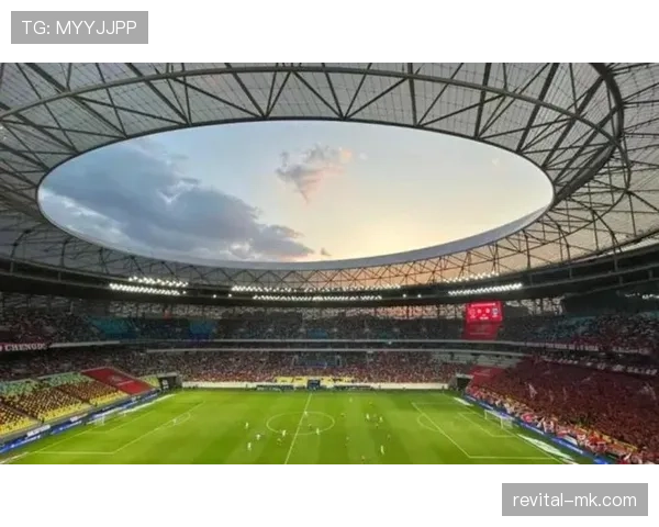 中超赛场环境提升趋势显著 新赛季观赛体验标准持续提升