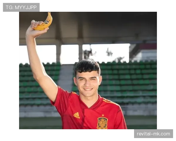 佩德里慈善活动解析 佩德里慈善活动解析